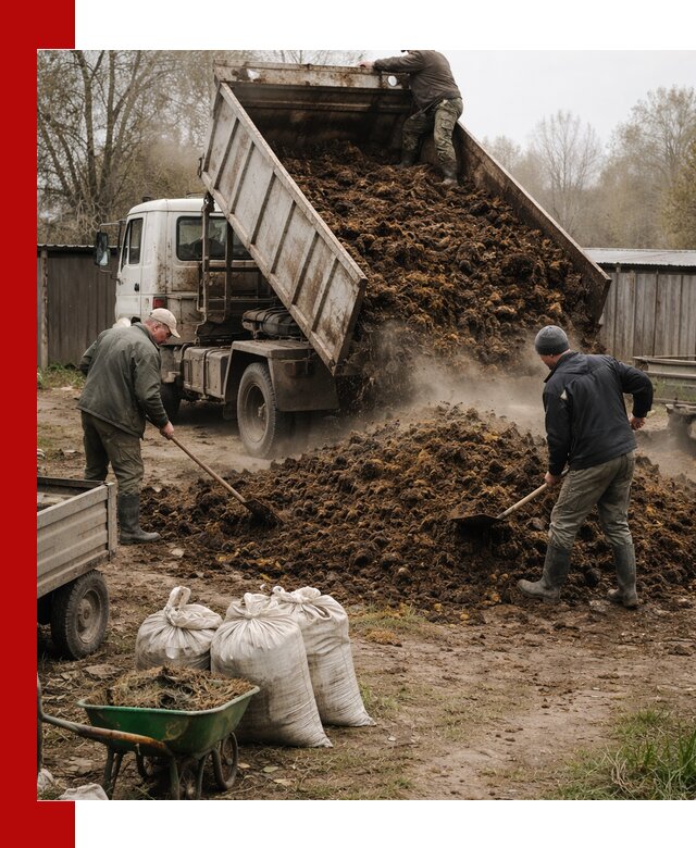 Доставка коровьего навоза самосвалом в Советской Гавани